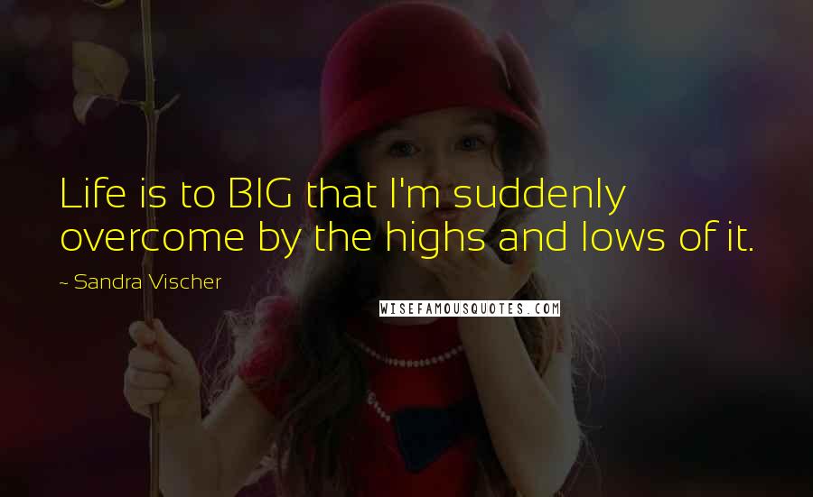 Sandra Vischer Quotes: Life is to BIG that I'm suddenly overcome by the highs and lows of it.