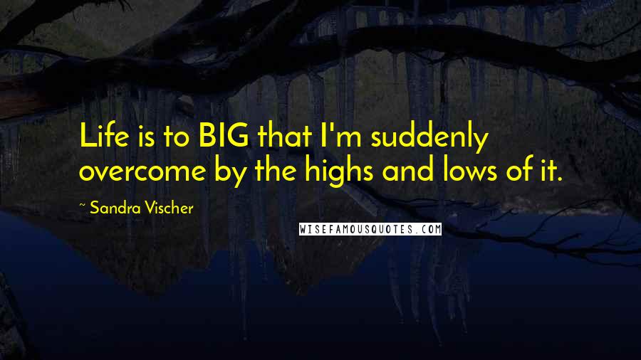 Sandra Vischer Quotes: Life is to BIG that I'm suddenly overcome by the highs and lows of it.