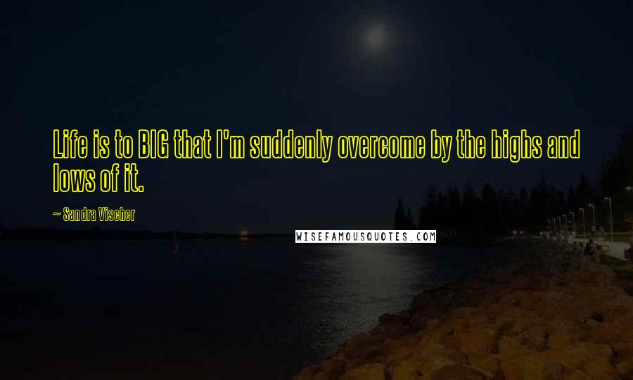 Sandra Vischer Quotes: Life is to BIG that I'm suddenly overcome by the highs and lows of it.