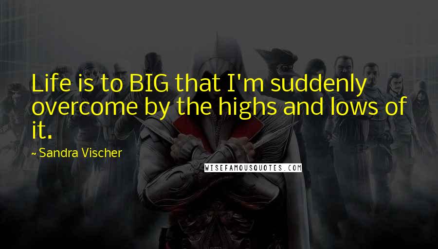 Sandra Vischer Quotes: Life is to BIG that I'm suddenly overcome by the highs and lows of it.