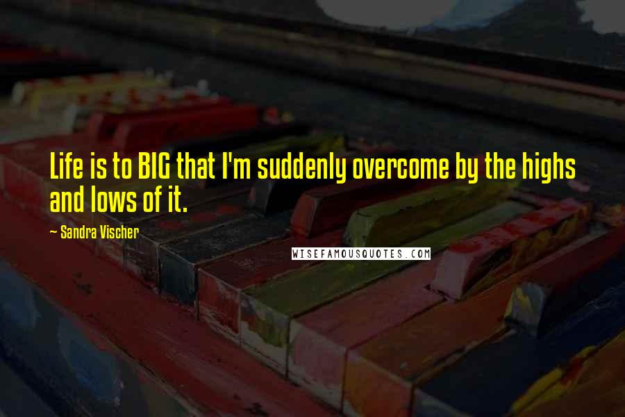 Sandra Vischer Quotes: Life is to BIG that I'm suddenly overcome by the highs and lows of it.