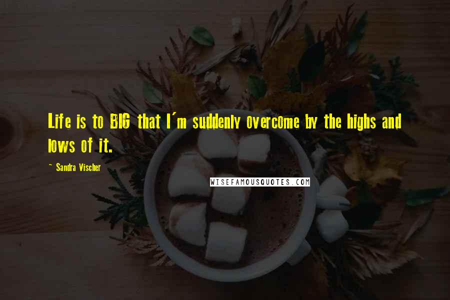 Sandra Vischer Quotes: Life is to BIG that I'm suddenly overcome by the highs and lows of it.