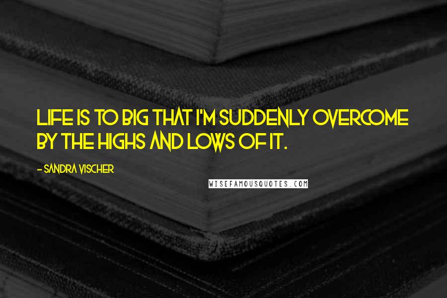 Sandra Vischer Quotes: Life is to BIG that I'm suddenly overcome by the highs and lows of it.