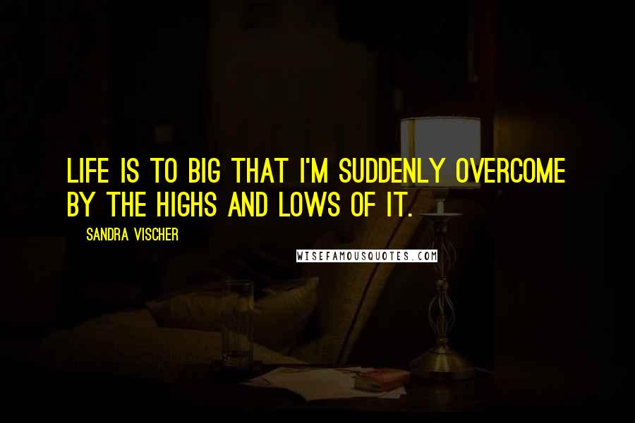 Sandra Vischer Quotes: Life is to BIG that I'm suddenly overcome by the highs and lows of it.