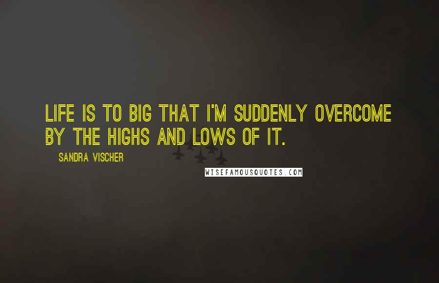 Sandra Vischer Quotes: Life is to BIG that I'm suddenly overcome by the highs and lows of it.