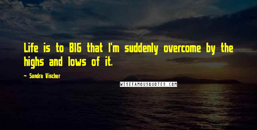 Sandra Vischer Quotes: Life is to BIG that I'm suddenly overcome by the highs and lows of it.