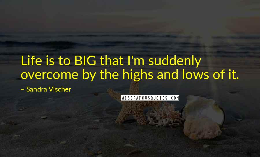 Sandra Vischer Quotes: Life is to BIG that I'm suddenly overcome by the highs and lows of it.