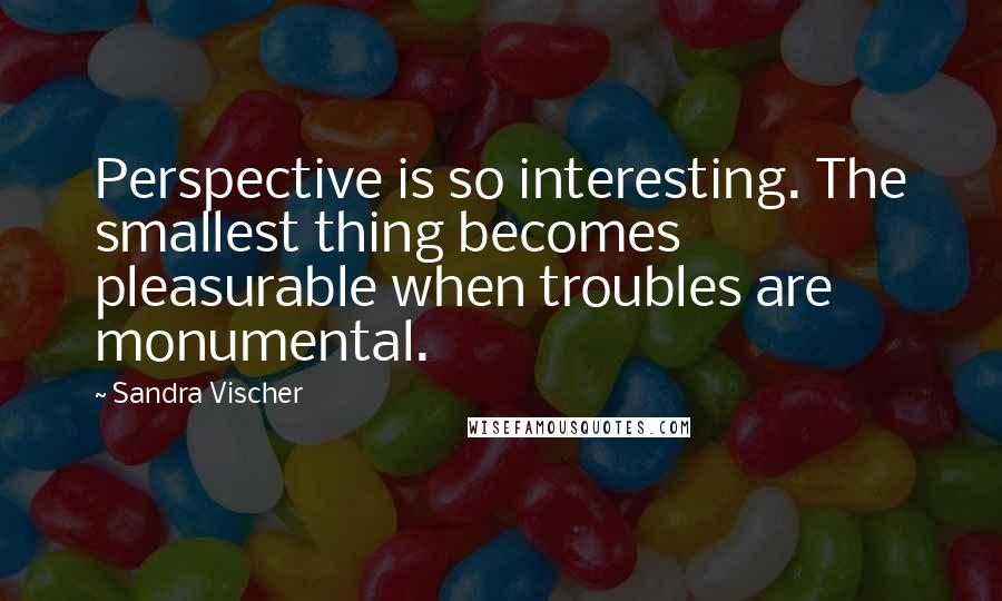 Sandra Vischer Quotes: Perspective is so interesting. The smallest thing becomes pleasurable when troubles are monumental.