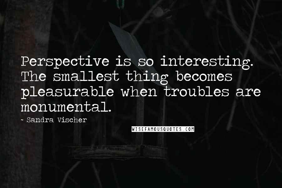 Sandra Vischer Quotes: Perspective is so interesting. The smallest thing becomes pleasurable when troubles are monumental.