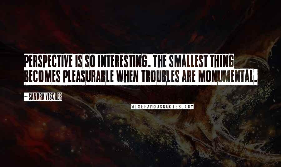 Sandra Vischer Quotes: Perspective is so interesting. The smallest thing becomes pleasurable when troubles are monumental.