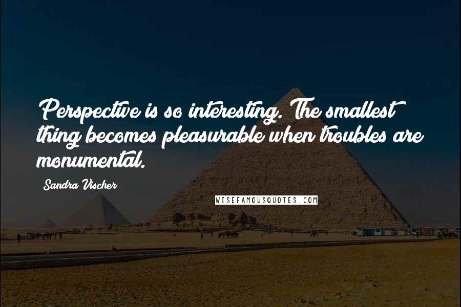 Sandra Vischer Quotes: Perspective is so interesting. The smallest thing becomes pleasurable when troubles are monumental.