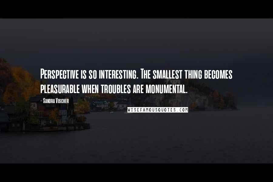 Sandra Vischer Quotes: Perspective is so interesting. The smallest thing becomes pleasurable when troubles are monumental.