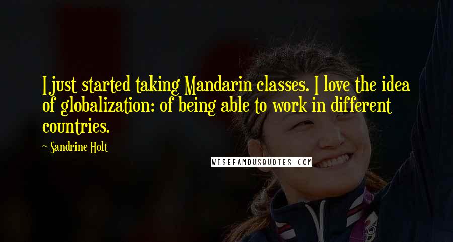 Sandrine Holt Quotes: I just started taking Mandarin classes. I love the idea of globalization: of being able to work in different countries.