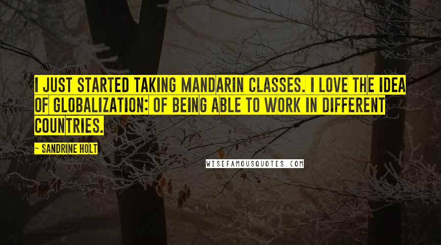 Sandrine Holt Quotes: I just started taking Mandarin classes. I love the idea of globalization: of being able to work in different countries.