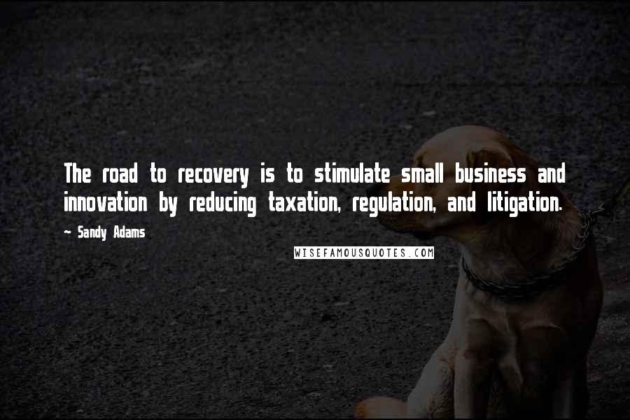 Sandy Adams Quotes: The road to recovery is to stimulate small business and innovation by reducing taxation, regulation, and litigation.