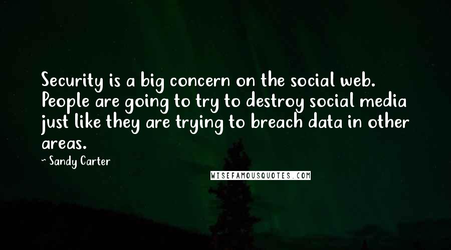 Sandy Carter Quotes: Security is a big concern on the social web. People are going to try to destroy social media just like they are trying to breach data in other areas.