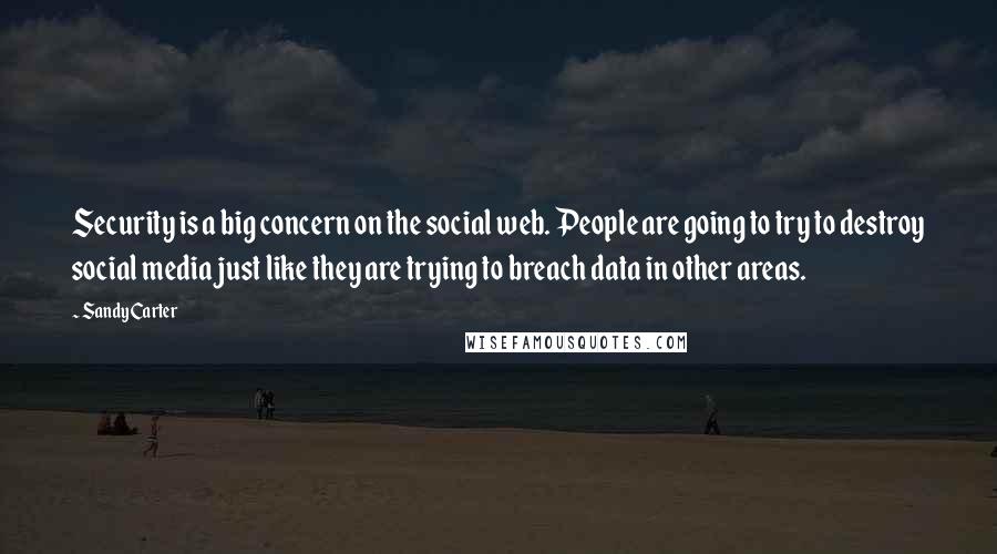 Sandy Carter Quotes: Security is a big concern on the social web. People are going to try to destroy social media just like they are trying to breach data in other areas.