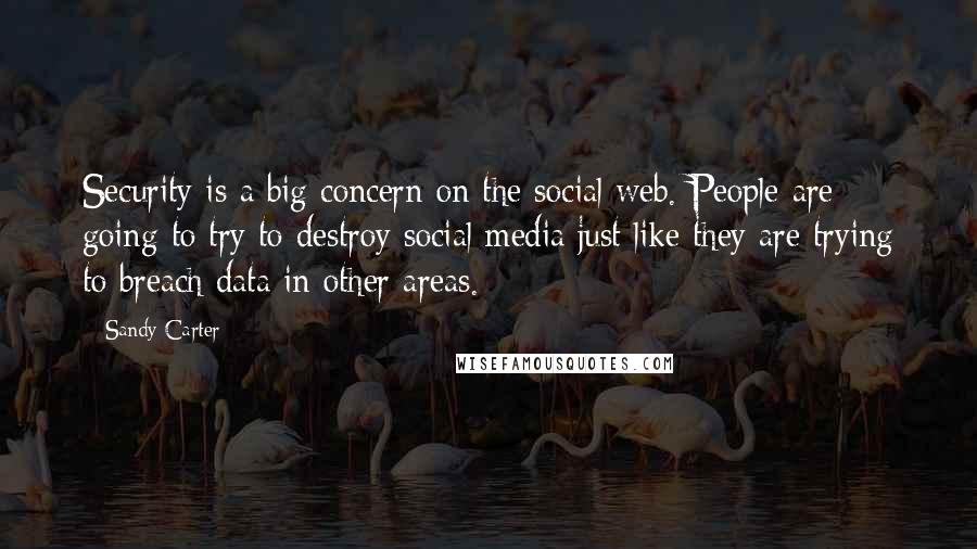 Sandy Carter Quotes: Security is a big concern on the social web. People are going to try to destroy social media just like they are trying to breach data in other areas.