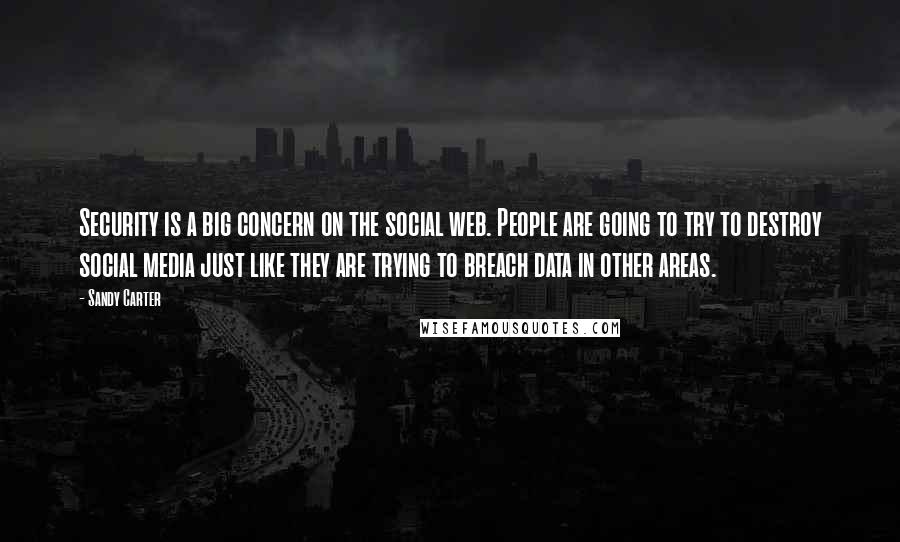 Sandy Carter Quotes: Security is a big concern on the social web. People are going to try to destroy social media just like they are trying to breach data in other areas.