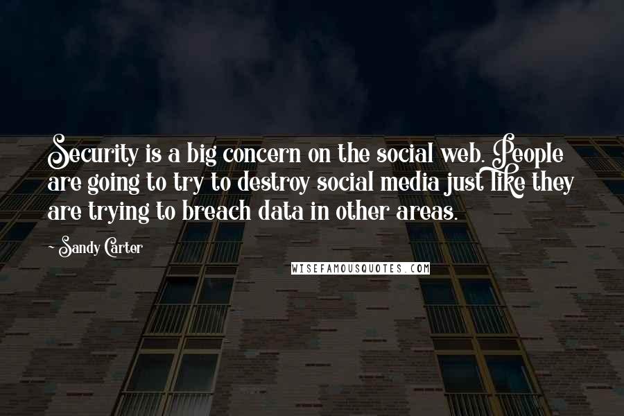 Sandy Carter Quotes: Security is a big concern on the social web. People are going to try to destroy social media just like they are trying to breach data in other areas.