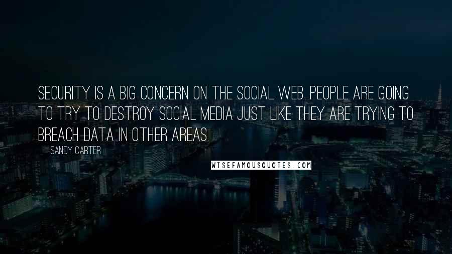 Sandy Carter Quotes: Security is a big concern on the social web. People are going to try to destroy social media just like they are trying to breach data in other areas.