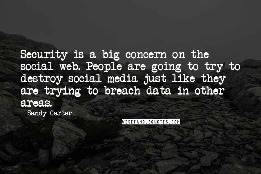 Sandy Carter Quotes: Security is a big concern on the social web. People are going to try to destroy social media just like they are trying to breach data in other areas.