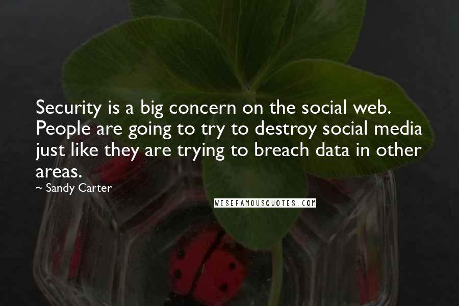 Sandy Carter Quotes: Security is a big concern on the social web. People are going to try to destroy social media just like they are trying to breach data in other areas.