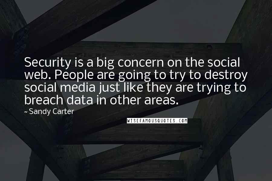 Sandy Carter Quotes: Security is a big concern on the social web. People are going to try to destroy social media just like they are trying to breach data in other areas.