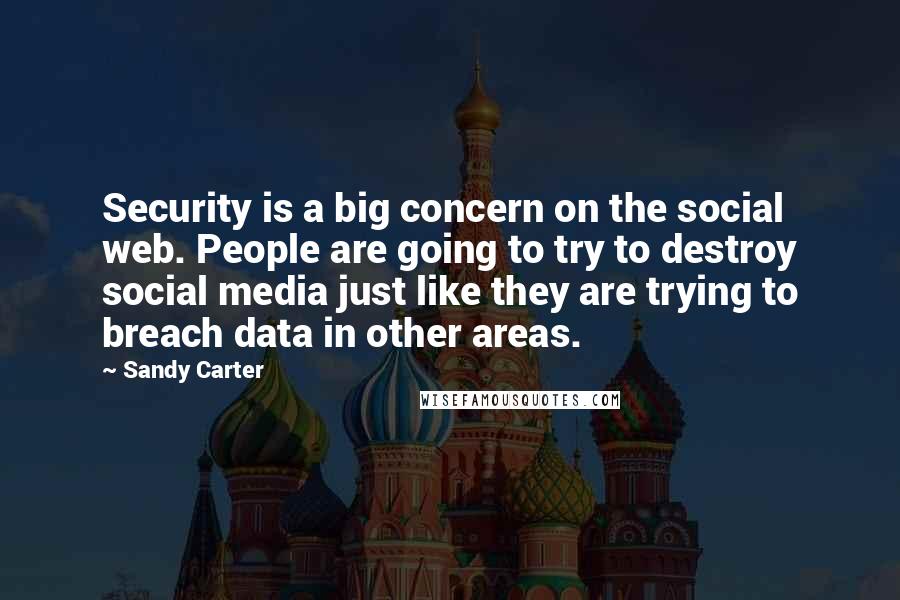 Sandy Carter Quotes: Security is a big concern on the social web. People are going to try to destroy social media just like they are trying to breach data in other areas.