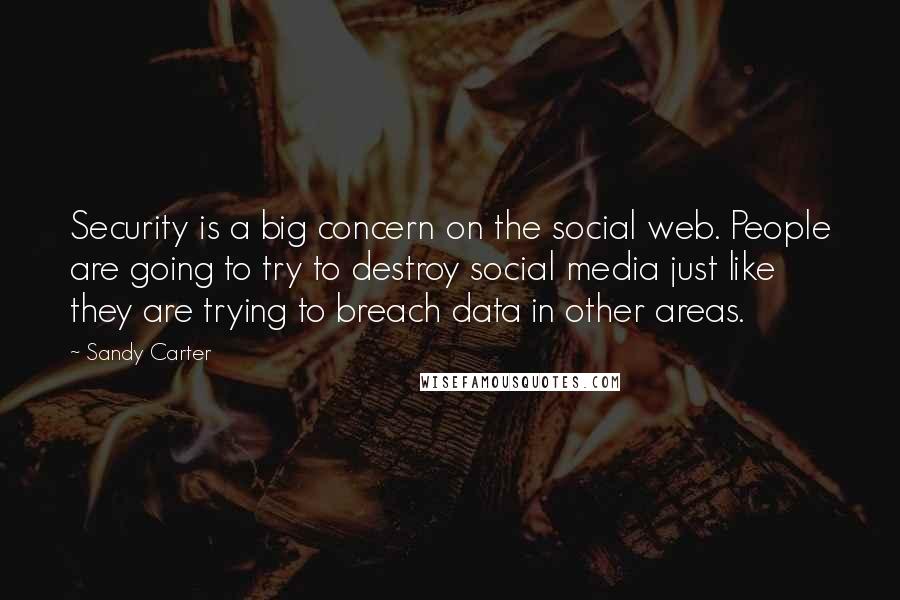 Sandy Carter Quotes: Security is a big concern on the social web. People are going to try to destroy social media just like they are trying to breach data in other areas.