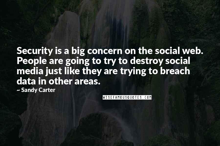Sandy Carter Quotes: Security is a big concern on the social web. People are going to try to destroy social media just like they are trying to breach data in other areas.