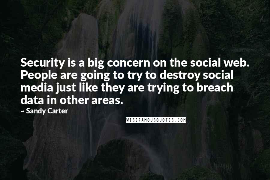 Sandy Carter Quotes: Security is a big concern on the social web. People are going to try to destroy social media just like they are trying to breach data in other areas.