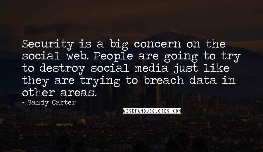 Sandy Carter Quotes: Security is a big concern on the social web. People are going to try to destroy social media just like they are trying to breach data in other areas.