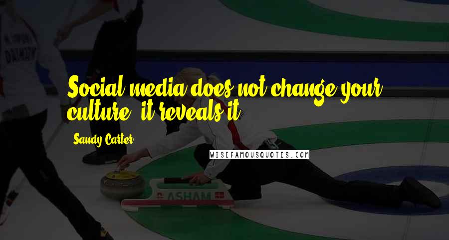 Sandy Carter Quotes: Social media does not change your culture, it reveals it.