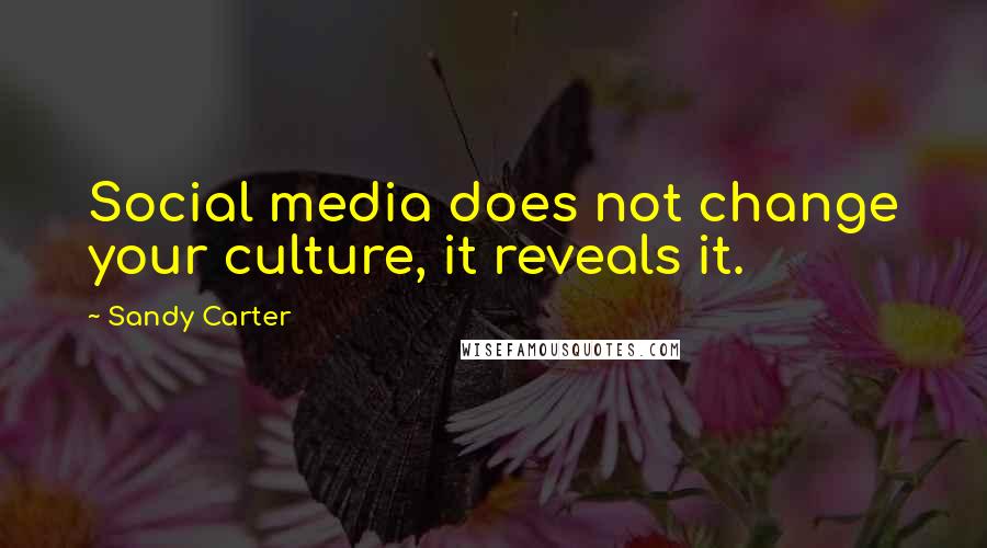 Sandy Carter Quotes: Social media does not change your culture, it reveals it.