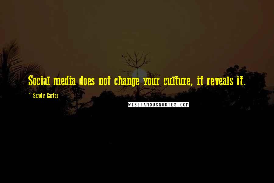 Sandy Carter Quotes: Social media does not change your culture, it reveals it.