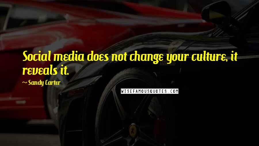 Sandy Carter Quotes: Social media does not change your culture, it reveals it.