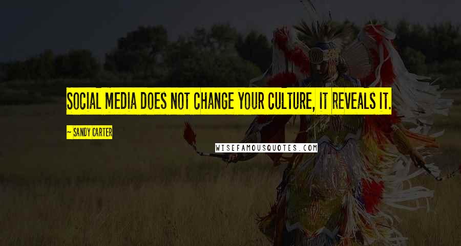 Sandy Carter Quotes: Social media does not change your culture, it reveals it.