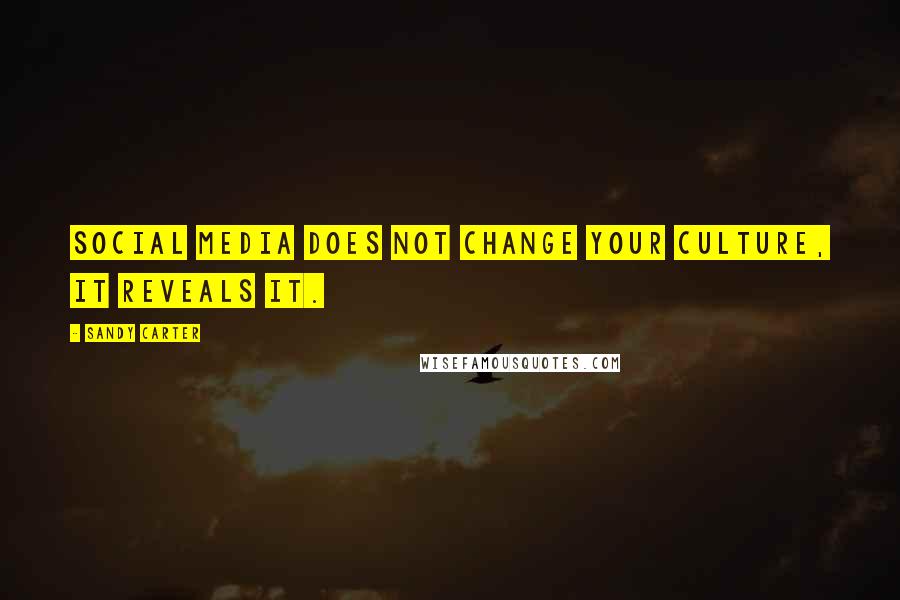 Sandy Carter Quotes: Social media does not change your culture, it reveals it.