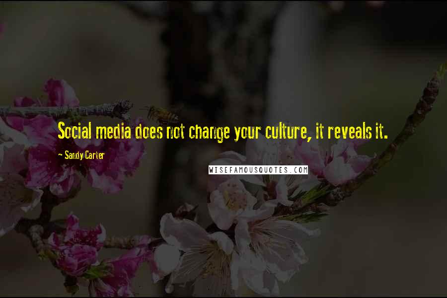 Sandy Carter Quotes: Social media does not change your culture, it reveals it.
