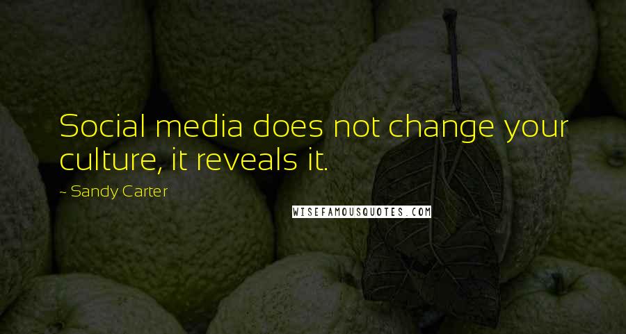 Sandy Carter Quotes: Social media does not change your culture, it reveals it.
