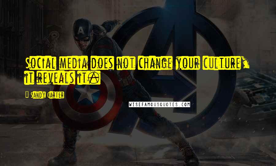 Sandy Carter Quotes: Social media does not change your culture, it reveals it.