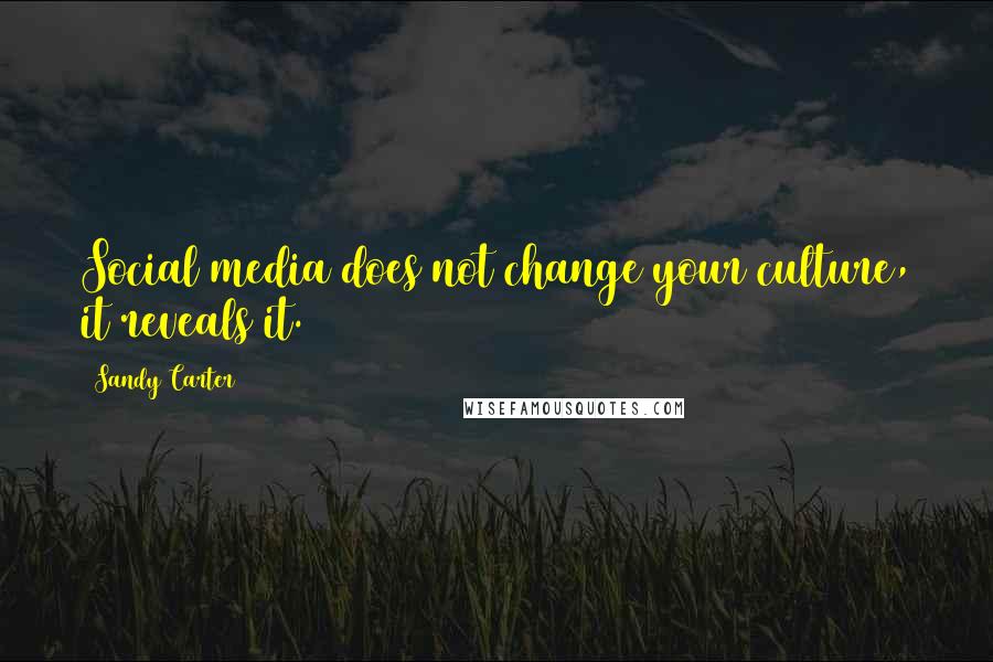 Sandy Carter Quotes: Social media does not change your culture, it reveals it.