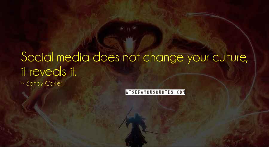 Sandy Carter Quotes: Social media does not change your culture, it reveals it.
