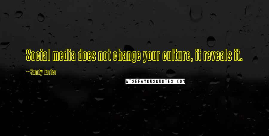 Sandy Carter Quotes: Social media does not change your culture, it reveals it.