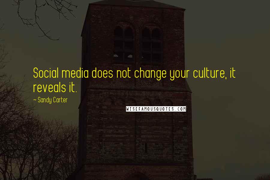 Sandy Carter Quotes: Social media does not change your culture, it reveals it.