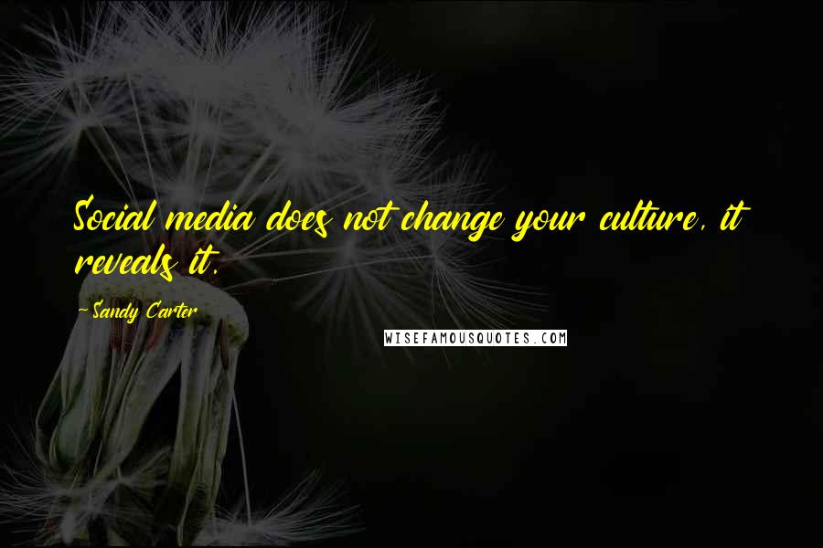 Sandy Carter Quotes: Social media does not change your culture, it reveals it.