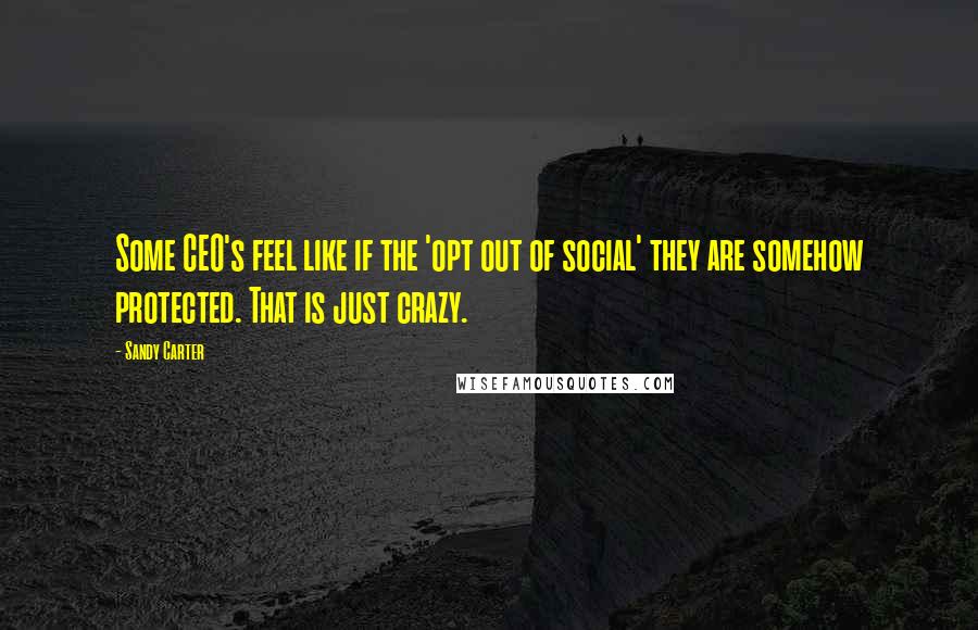 Sandy Carter Quotes: Some CEO's feel like if the 'opt out of social' they are somehow protected. That is just crazy.
