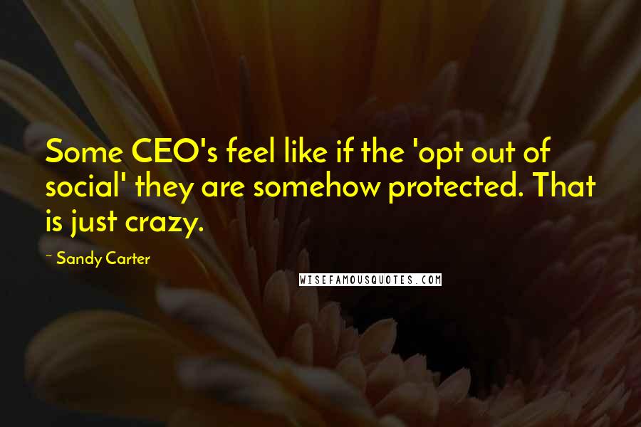 Sandy Carter Quotes: Some CEO's feel like if the 'opt out of social' they are somehow protected. That is just crazy.