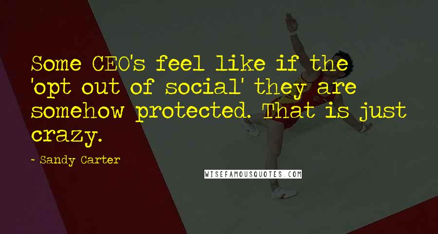 Sandy Carter Quotes: Some CEO's feel like if the 'opt out of social' they are somehow protected. That is just crazy.